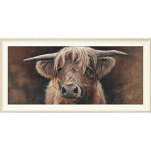 Load image into Gallery viewer, Baird
