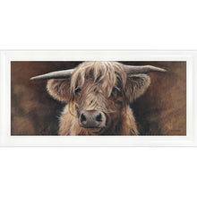 Load image into Gallery viewer, Baird
