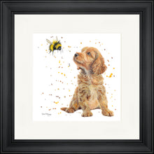 Load image into Gallery viewer, Biscotti and Bumble
