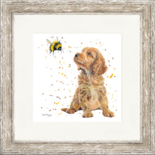 Load image into Gallery viewer, Biscotti and Bumble
