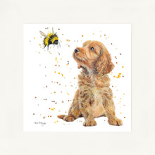 Load image into Gallery viewer, Biscotti and Bumble
