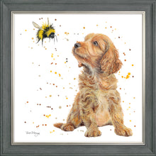 Load image into Gallery viewer, Biscotti and Bumble
