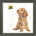 Biscotti and Bumble