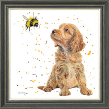 Load image into Gallery viewer, Biscotti and Bumble
