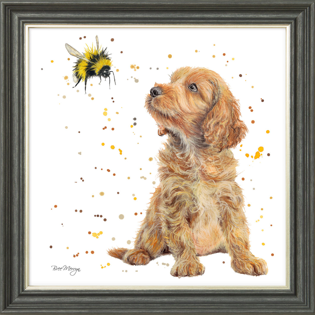 Biscotti and Bumble