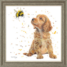 Load image into Gallery viewer, Biscotti and Bumble
