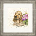 Cody - cocker spaniel framed print by Bree Merryn