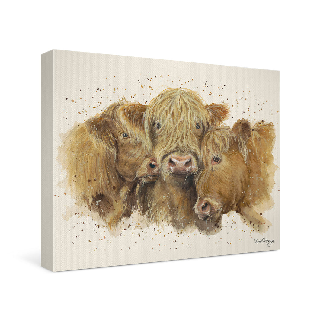 Cuddly Coos