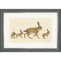 Hare Line