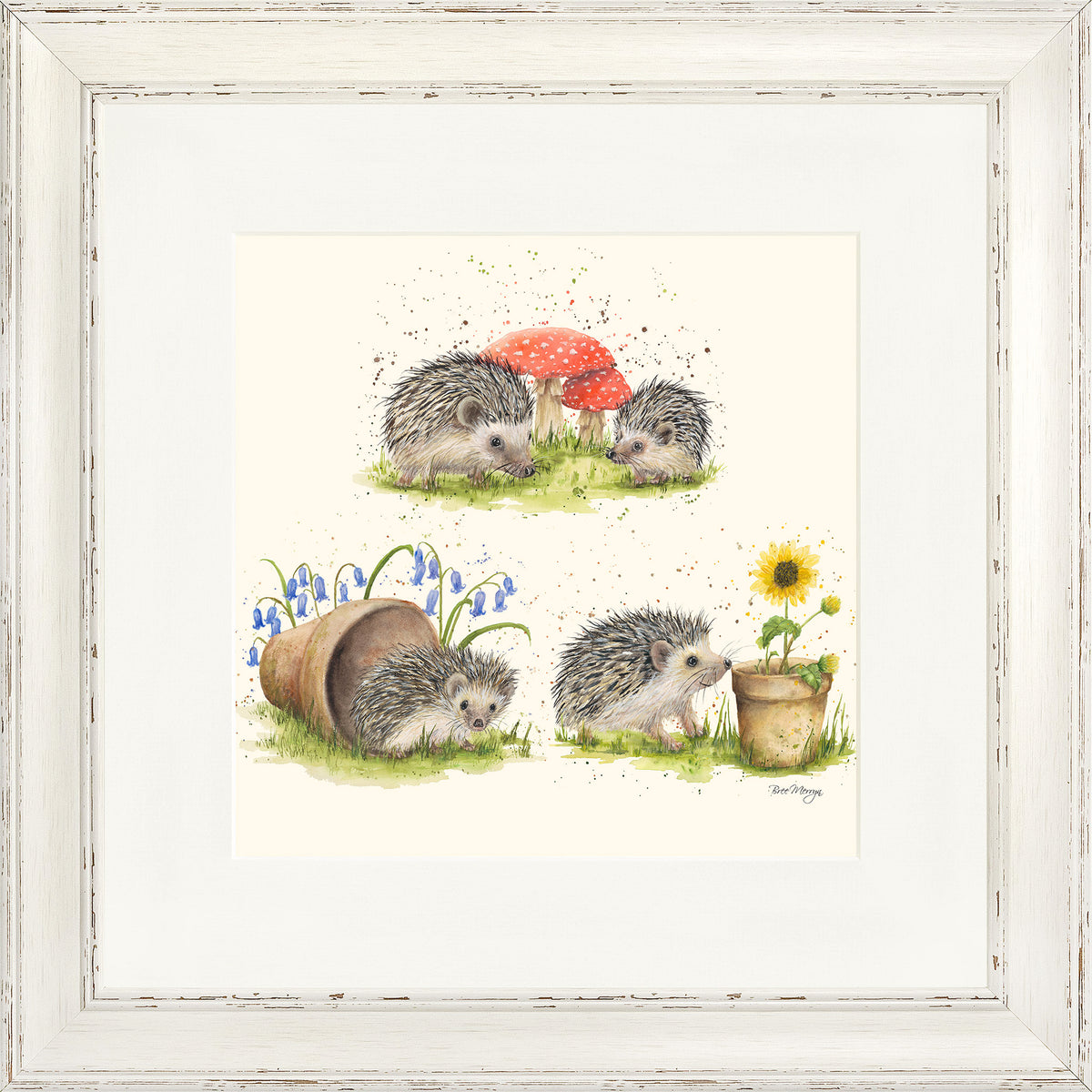 Hedgehog Harmony