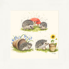 Load image into Gallery viewer, Hedgehog Harmony
