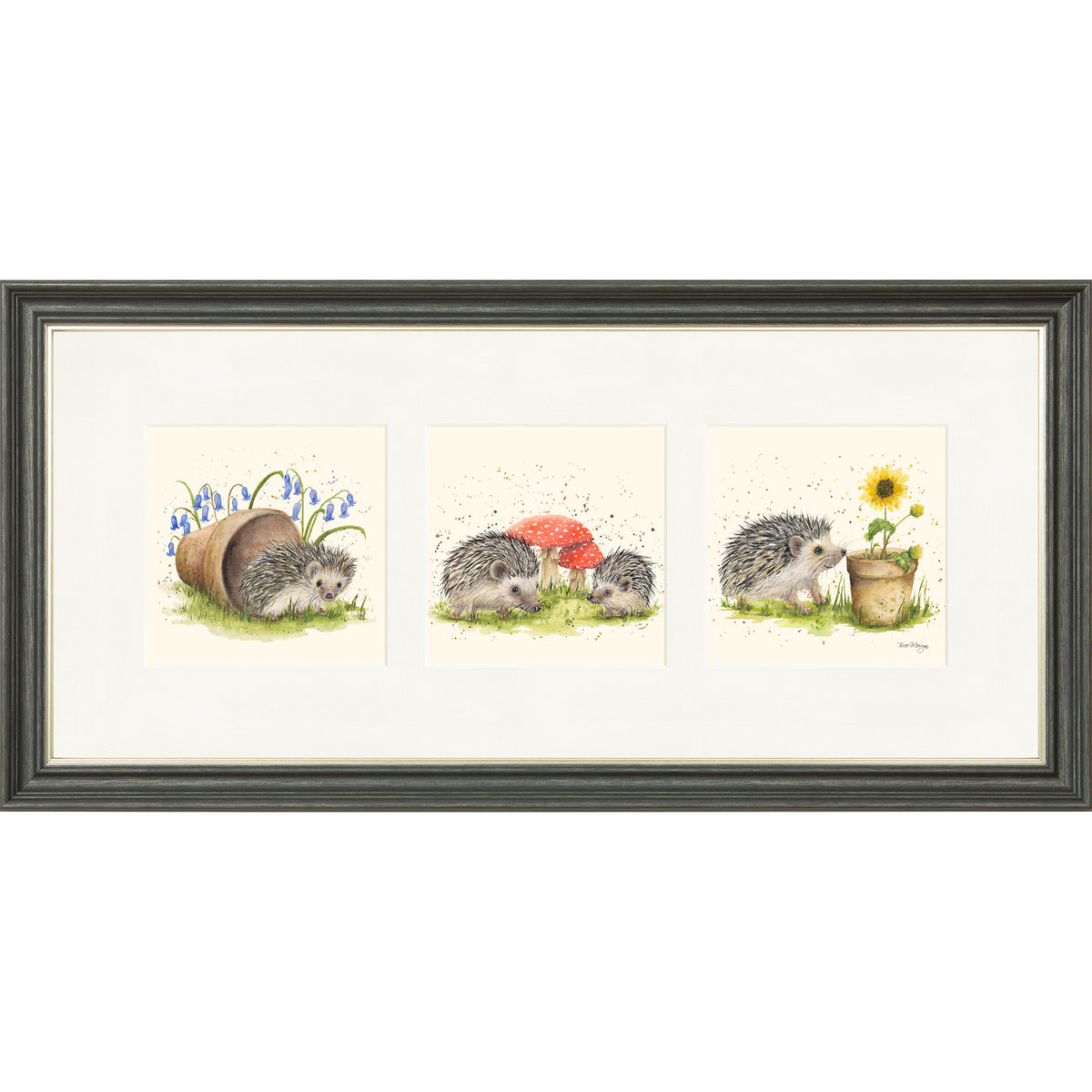 Hedgehog Harmony