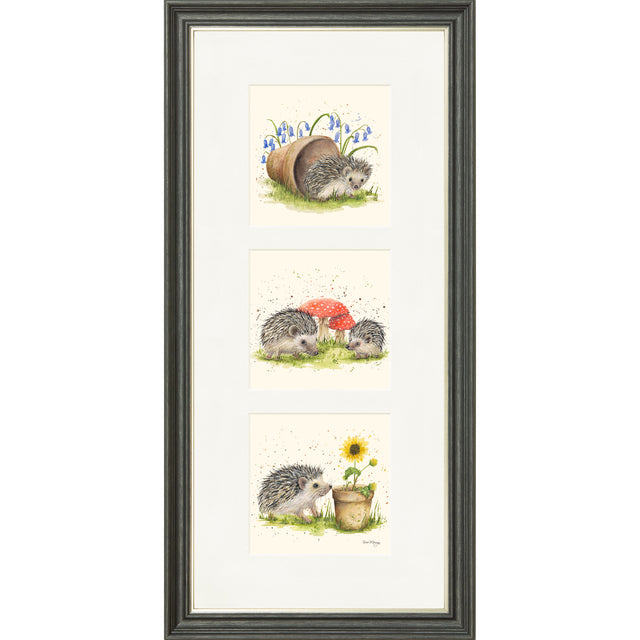 Hedgehog Harmony