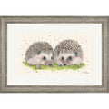 Hobnob and Humbug - hedgehog framed print by Bree Merryn