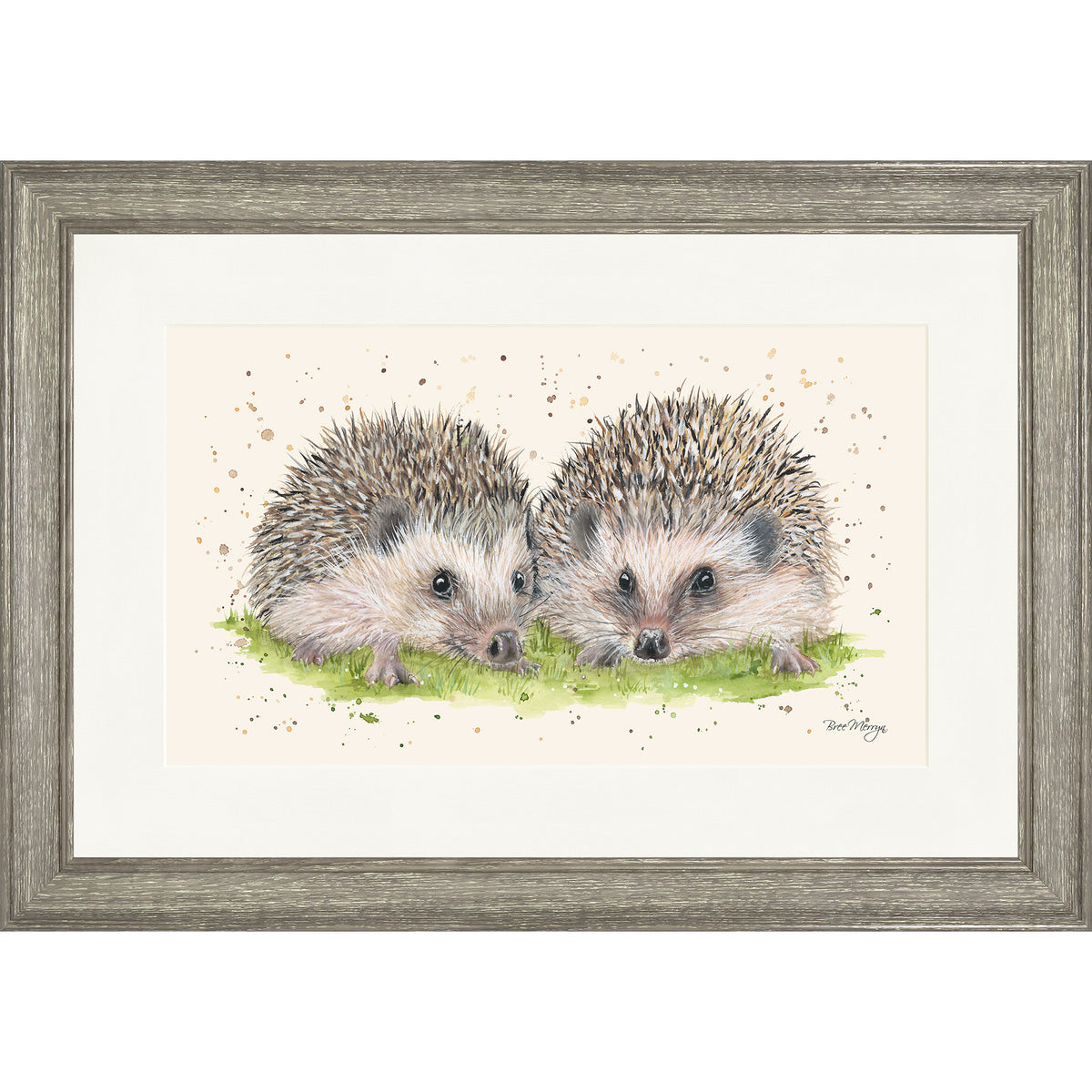 Hobnob and Humbug - hedgehog framed print by Bree Merryn