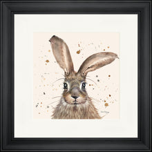 Load image into Gallery viewer, Horatio
