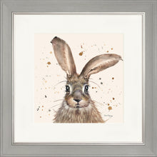 Load image into Gallery viewer, Horatio
