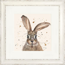 Load image into Gallery viewer, Horatio
