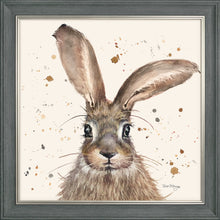 Load image into Gallery viewer, Horatio
