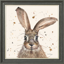 Load image into Gallery viewer, Horatio

