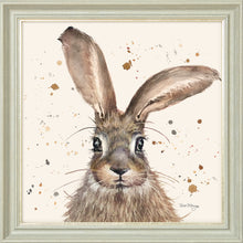 Load image into Gallery viewer, Horatio
