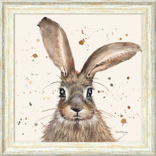 Load image into Gallery viewer, Horatio
