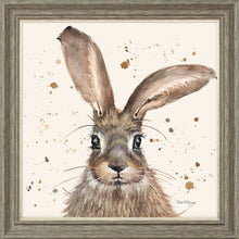 Load image into Gallery viewer, Horatio
