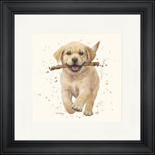 Load image into Gallery viewer, Lucky
