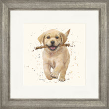 Load image into Gallery viewer, Lucky
