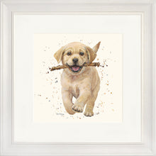 Load image into Gallery viewer, Lucky
