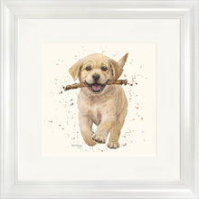 Load image into Gallery viewer, Lucky
