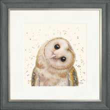 Load image into Gallery viewer, Oreo
