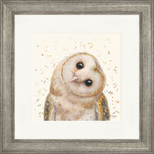 Load image into Gallery viewer, Oreo
