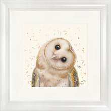 Load image into Gallery viewer, Oreo
