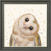 Load image into Gallery viewer, Oreo
