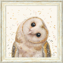 Load image into Gallery viewer, Oreo
