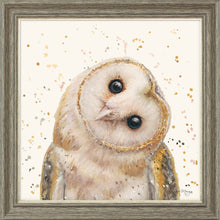 Load image into Gallery viewer, Oreo
