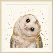 Load image into Gallery viewer, Oreo
