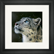 Load image into Gallery viewer, Sultan
