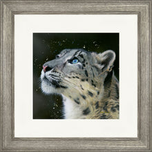 Load image into Gallery viewer, Sultan
