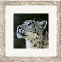 Load image into Gallery viewer, Sultan
