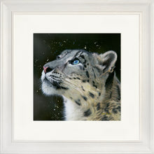Load image into Gallery viewer, Sultan
