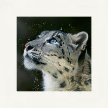 Load image into Gallery viewer, Sultan
