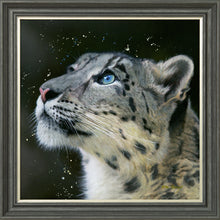 Load image into Gallery viewer, Sultan
