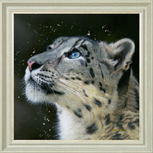 Load image into Gallery viewer, Sultan
