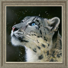 Load image into Gallery viewer, Sultan
