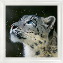 Load image into Gallery viewer, Sultan
