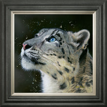Load image into Gallery viewer, Sultan
