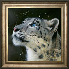 Load image into Gallery viewer, Sultan
