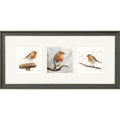The Robins